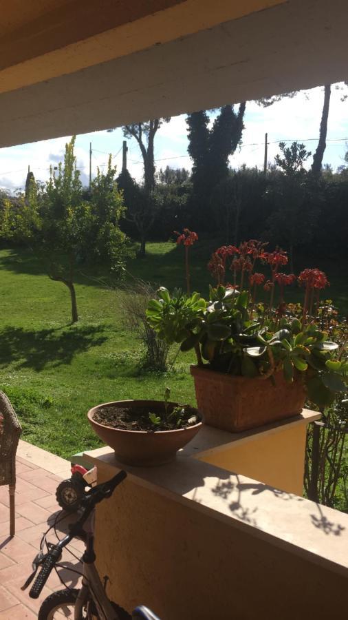 Villa Bel Lago Bracciano  Eksteriør billede